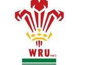 rugby Galles
