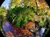 l'Occhio fotografo_Nigel Burkitt