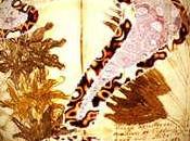 Cinque libri illustrati