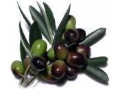 Olio extravergine d’oliva italiano