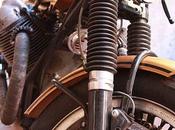 Gold Guzzi
