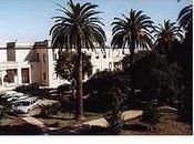 Palmi ospita nuovo corso assaggiatori olio.