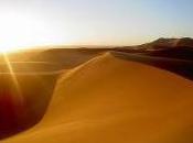 Forse così. Costantino Posa