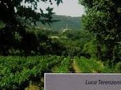 Estrazione: Primavera Borgogna