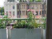 Giardini mestieri_ designer mobili