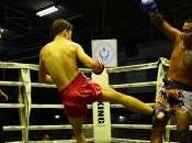 Gallo Cassarino Campione Thailandia