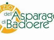 Asparago Badoere