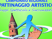 Campionato regionale veneto 2012 gruppi show precision