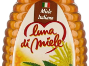 Zabaione miele castagno