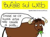 Bufale bufali