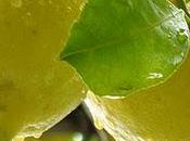 morale l'arte della coltivazione limone