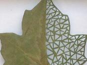 Patterns intagliati nelle foglie progetto "natura arte"