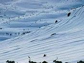 generale inverno
