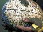 Trofeo della Mole Rugby