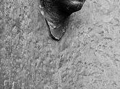 speranza" Václav Havel