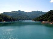 lago Brugneto, l’oasi daini