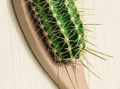 Murat Suyur_still life