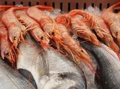 Arezzo: Natale Passione