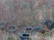 Colle della Trinità, pneumatici come frutti bosco?