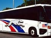 Syracuse: ruba autobus Greyhound andare trovare amico. avvocato anni
