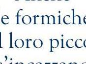 Apple Antitrust gigante formica