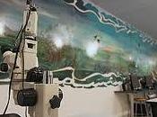 Musei aperti gennaio: orari