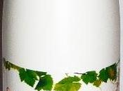 Crema corpo alle Cellule Staminali dell'uva NATURMED