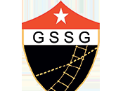 Nuovo sito GSSG