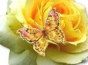 SFUMANO CERCARE.Tra rovi della nostra mente cigolan...