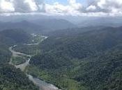 Geografia della Costa Rica caraibica: mare foresta