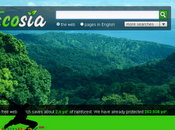 Ecosia, motore ricerca ecologico fondato associazione Bing, Yahoo WWF.
