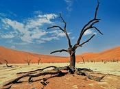 Malawi siccità perdona