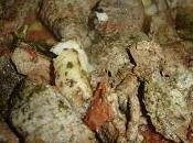 Carne alla Pizzaiola