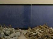 Melito Napoli carabinieri sequestrano tonnellate pericolosi botti illegali.