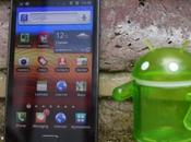 Samsung Galaxy disponibile aggiornamento Android 2.3.6 brand
