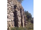 Settembre 2010 Ecopasseggiata degli Etruschi Arezzo- Parco Villa Severi