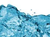 Superquark: acqua, Giotto
