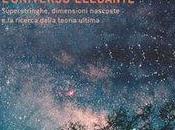 L'universo elegante, Brian Greene