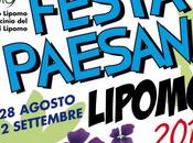 Sagra paesana lipomo 2010 proloco