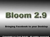 Caricare foto Facebook desktop Bloom
