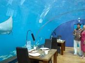 Foto giorno settembre 2010 suite fondo all'oceano