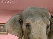 l'elefante scomparso altri racconti