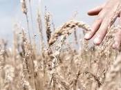 Carpe diem, altra cosa Fernando Pessoa