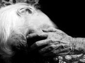 Crime News Milano: pugno faccia 93enne derubarla