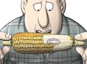 L’ungheria distrugge coltivazioni