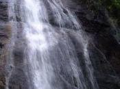 Appello importante Forum Italiano Movimenti l'Acqua