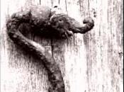 Festival Letterario Diffuso Ananti Ziminera. Rievocare tempo racconto tipico della tradizione contos forredda