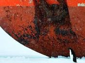 Antartide: pinguino vicino nave incastrata ghiacci foto simpaticissime