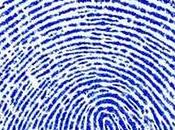 Schedine pubblica sicurezza rete