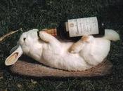 Ultime smentite riscaldamento globale